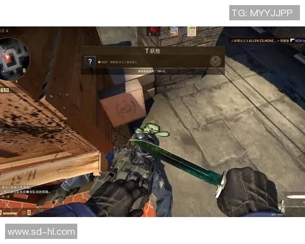 提升心理素质的科学方法在CSGO游戏中的应用与实践探讨