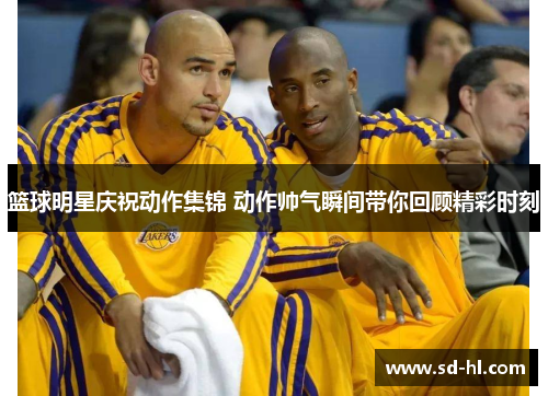 篮球明星庆祝动作集锦 动作帅气瞬间带你回顾精彩时刻