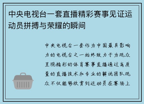中央电视台一套直播精彩赛事见证运动员拼搏与荣耀的瞬间